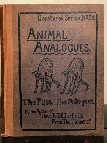 1908 - ANIMAL ANALOGUES: THE PUSS & THE OCTO-PUS; Whimsical Children's Rhymes