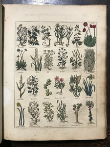 CULPEPER'S ENGLISH PHYSICIAN AND COMPLETE HERBAL, 1805 - ILLUSTRATED PLATES