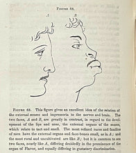 HUMAN NATURE AND THE NERVES - 1st 1857 - PHRENOLOGY, SPIRITUALISM, PHYSIOLOGY