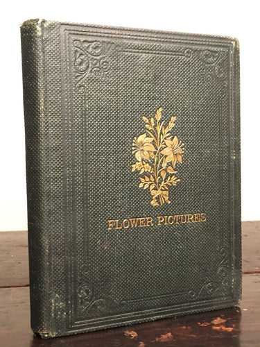 FLOWER PICTURES, Elise Polko 1st/1st, 1861 Illustrated Flower Plant Meanings