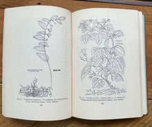 HERBALS: THEIR ORIGIN AND EVOLUTION - Agnes Arber, 1938 - BOTANY PLANTS HISTORY