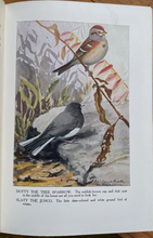 BURGESS BIRD BOOK FOR CHILDREN - Thornton Burgess, 1927 - ILLUSTRATED NATURE