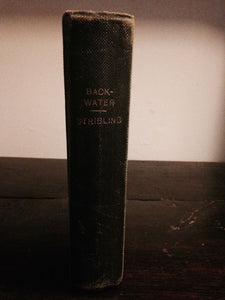 BACKWATER by T.S. Stripling, First Edition, 1930, VERY RARE Southern Miss. Life