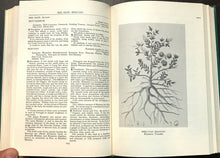 A MODERN HERBAL - Grieve, 1959 - 2 Vols in Slipcase NATURAL REMEDIES HERBALISM