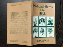 MEDICINAL HERBS IN THE BIBLE - De Waal, 1980 HERBALS HEALING NATURAL MEDICINE