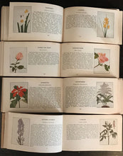 Spring, Summer, Autumn, Winter FLOWERS POCKET GARDEN LIBRARY 1917, 4 Volume Set