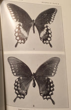 BUTTERFLIES OF THE DISTRICT OF COLUMBIA AND VICINITY A. Clark 1st/1st 1932 Illus