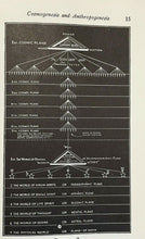 ASTROLOGY MUNDANE & SPIRITUAL - 1933 HOROSCOPE, ZODIAC, DIVINATION, PROPHECY