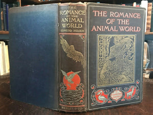 ROMANCE OF THE ANIMAL WORLD - 1st, 1905 - ILLUSTRATED STRANGE NATURAL HISTORY