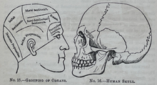 SIGNED - FOWLER'S SELF-INSTRUCTOR IN PHRENOLOGY - L.N. Fowler 1891 - OCCULT