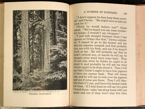 CHILDREN OF THE PINES by Arland Weeks, 1st / 1st 1926, Minnesota Woods Photos