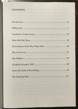 VOODOOMATION: BOOK OF FORETELLING - Linton, 1st 2000 - VOODOO CONJURE LITERATURE