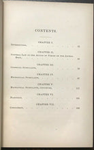 ON THE THERAPEUTIC FORCES - Mays, 1st 1878 IMPACT OF STIMULANTS NARCOTICS HEALTH