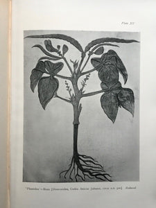 HERBALS: THEIR ORIGIN AND EVOLUTION, Agnes Arber 1st / 1st 1912, SCARCE BOTANY