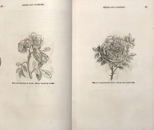 1857 - THE AMERICAN ROSE CULTURIST - SAXTON'S COTTAGE & FARM LIBRARY - FLOWERS