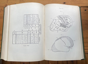 1903-1904 SOCIETY FOR PSYCHICAL RESEARCH - SPIRITS SPIRIT AUTOMATIC WRITING