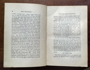 FOURTEEN LESSONS IN YOGI PHILOSOPHY - Atkinson 1904 EASTERN SPIRITUALISM OCCULT