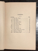 BUSTER THE RABBIT, THE EXPLORER - Elsie M. Alexander, 1st 1928 - Illustrated