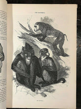 CASSELL'S POPULAR NATURAL HISTORY, 1860 - w/ 1500 ENGRAVINGS, Mammals Birds Fish