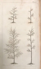 1808 - THE FOREST PRUNER / TIMBER OWNER'S ASSISTANT by WILLIAM PONTEY - NATURE