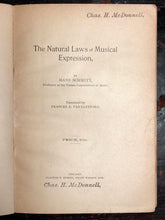 1894 NATURAL LAWS OF MUSICAL EXPRESSION - HANS SCHMITT - 1st/1st Music Physics