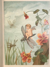 LOUISE CLARKSON – FLY-AWAY FAIRIES AND BABY-BLOSSOMS, 1st/1st 1882, SCARCE FAIRY