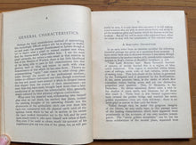 THE DEVACHANIC PLANE - Leadbeater, 1909 - THEOSOPHY, AFTERLIFE, HEAVEN, ANGELS