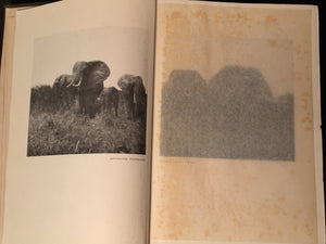 STALKING BIG GAME WITH A CAMERA, Marius Maxwell 1st/1st 1924 Photographs, Rare