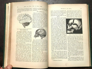 HEADS AND FACES  HOW TO STUDY THEM - Sizer, 1st 1885 PHRENOLOGY PHYSIOGNOMY