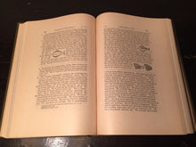 35th ANNUAL REPORT OF BUREAU OF AMERICAN ETHNOLOGY 1913-14, Pt. I, F. Boas 1921