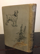 BROTHERS OF PITY AND OTHER TALES OF BEASTS AND MEN, J. Ewing 1st/1st, 1885 ILLUS