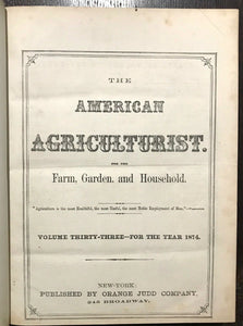 AMERICAN AGRICULTURIST FOR FARM, GARDEN, HOUSEHOLD - 24 Original Issues 1874-75