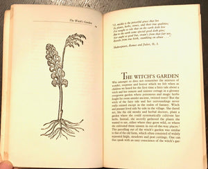 THE WITCH'S GARDEN - Hansen, 1st Ed 1978 - WITCHCRAFT MAGICK HERBALISM PLANTS